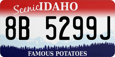 ID license plate 8B5299J