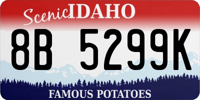 ID license plate 8B5299K