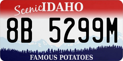 ID license plate 8B5299M
