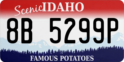 ID license plate 8B5299P