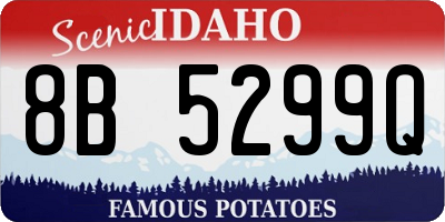 ID license plate 8B5299Q