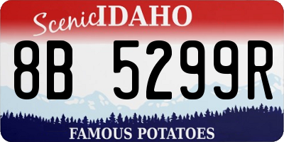 ID license plate 8B5299R