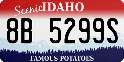 ID license plate 8B5299S