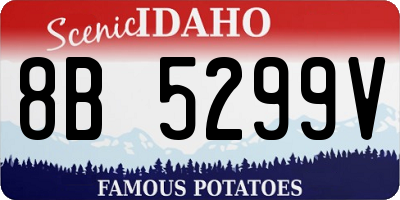 ID license plate 8B5299V
