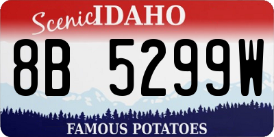 ID license plate 8B5299W