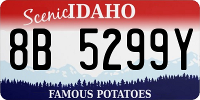 ID license plate 8B5299Y