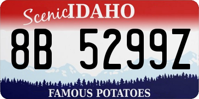 ID license plate 8B5299Z