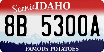 ID license plate 8B5300A