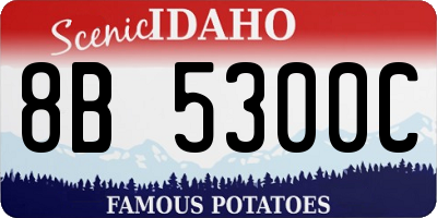 ID license plate 8B5300C