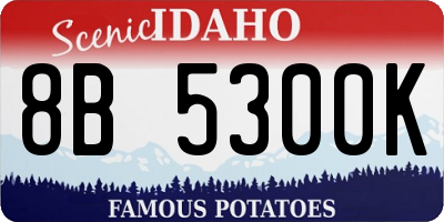ID license plate 8B5300K