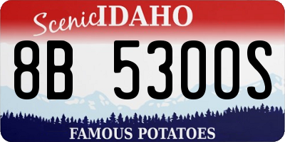 ID license plate 8B5300S