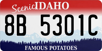 ID license plate 8B5301C