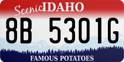 ID license plate 8B5301G