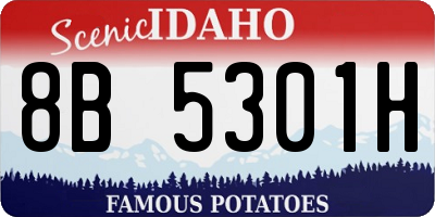 ID license plate 8B5301H