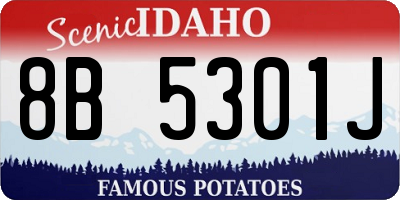 ID license plate 8B5301J