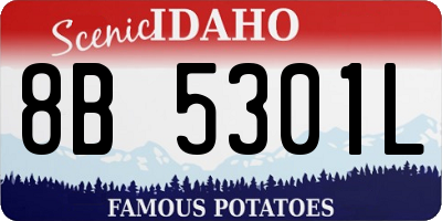 ID license plate 8B5301L