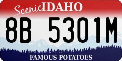 ID license plate 8B5301M