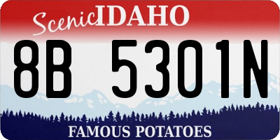 ID license plate 8B5301N