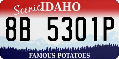 ID license plate 8B5301P