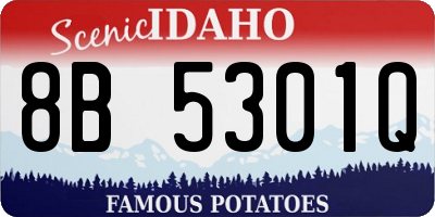 ID license plate 8B5301Q