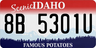 ID license plate 8B5301U