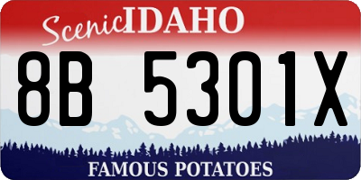 ID license plate 8B5301X