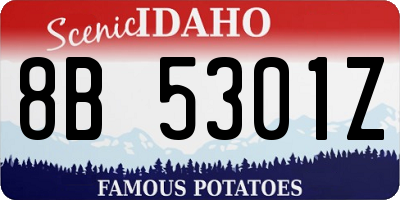 ID license plate 8B5301Z