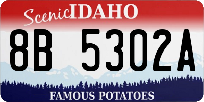 ID license plate 8B5302A