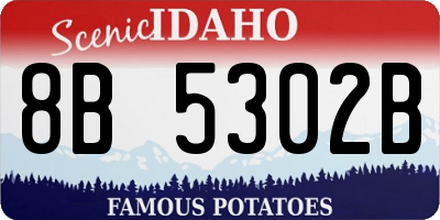 ID license plate 8B5302B