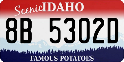ID license plate 8B5302D
