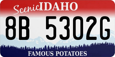 ID license plate 8B5302G