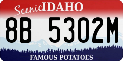 ID license plate 8B5302M