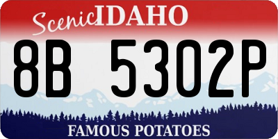 ID license plate 8B5302P
