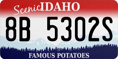 ID license plate 8B5302S