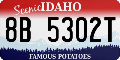 ID license plate 8B5302T