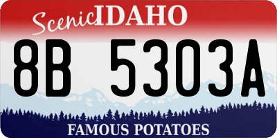 ID license plate 8B5303A