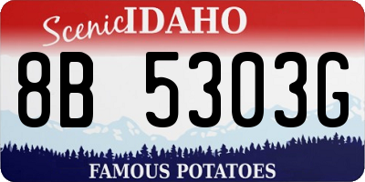 ID license plate 8B5303G