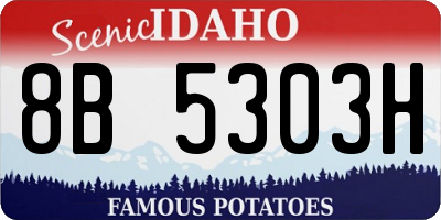 ID license plate 8B5303H