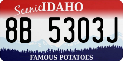 ID license plate 8B5303J