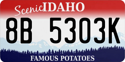 ID license plate 8B5303K