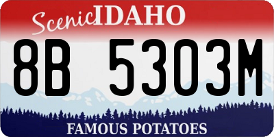 ID license plate 8B5303M