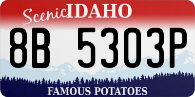 ID license plate 8B5303P