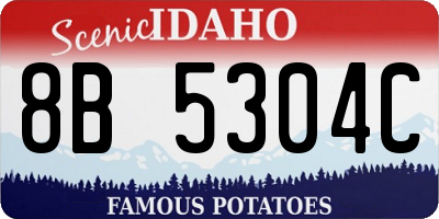 ID license plate 8B5304C