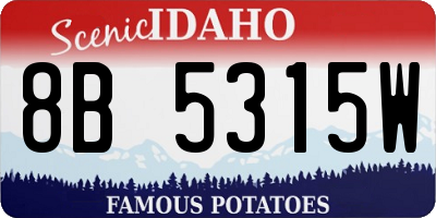 ID license plate 8B5315W