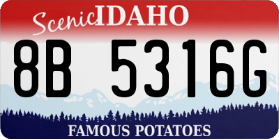 ID license plate 8B5316G