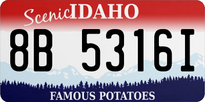 ID license plate 8B5316I