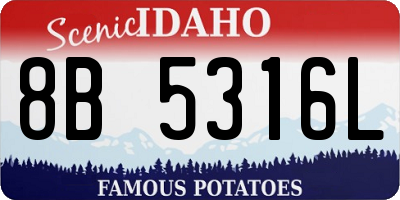 ID license plate 8B5316L
