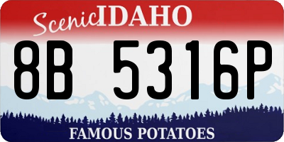 ID license plate 8B5316P
