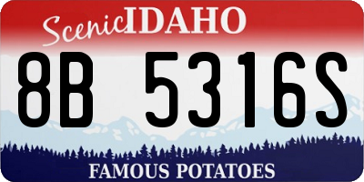 ID license plate 8B5316S