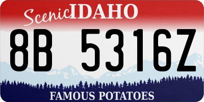 ID license plate 8B5316Z